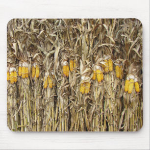 Dried Corn Stalk Decorations Mouse Mat