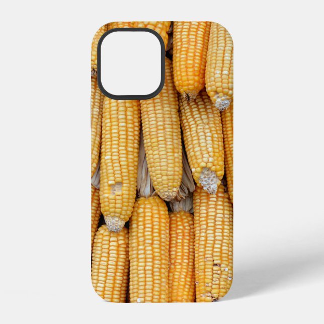 Dried corn that was stacked . iPhone case (Back)