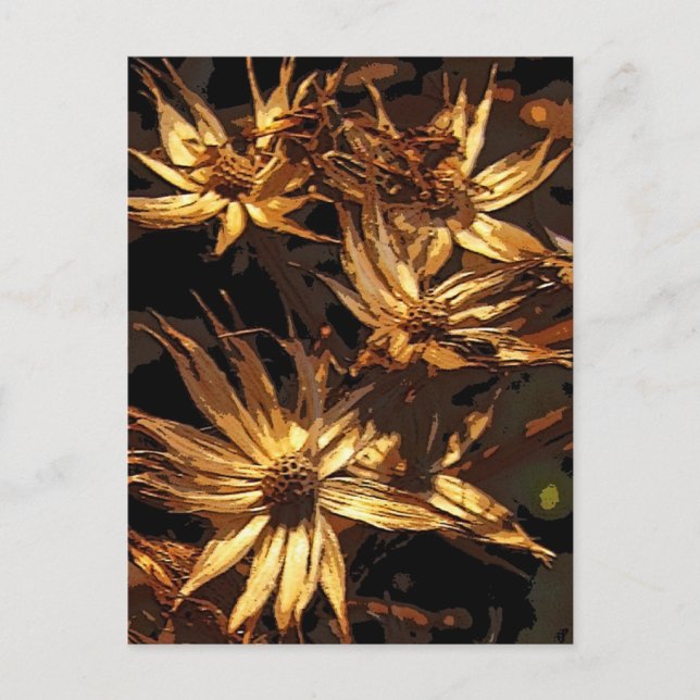 Dried Flower Abstract Postcard (Front)