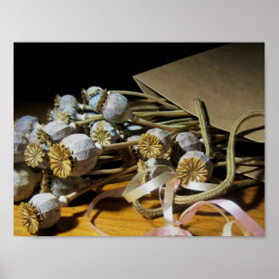 Dried Flower Poppy Pods Poster
