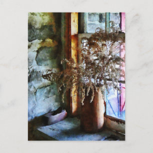Dried Flowers on Windowsill Postcard