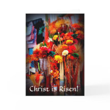 Dried Flowers - Vivid Marketplace Photos