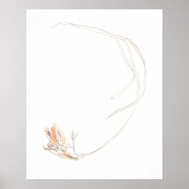 Dried freesia 1 poster (Front)
