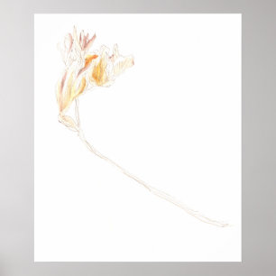 Dried Freesia No. 3 Poster