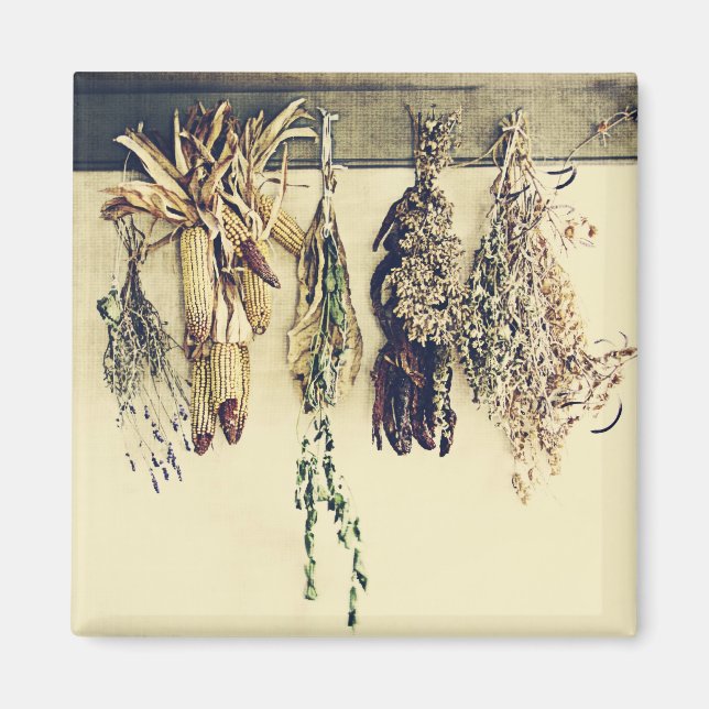 dried herbs, lavender and corn rustic still life magnet (Front)