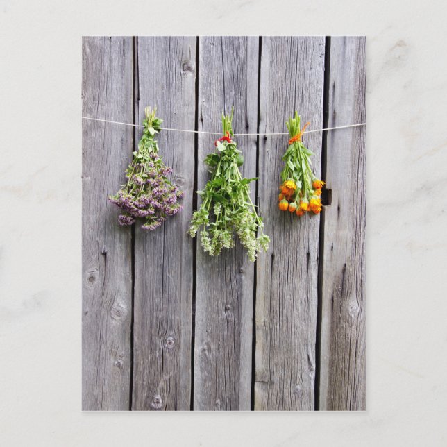 dried herbs wooden vintage grey wall postcard (Front)