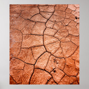 Dried land poster