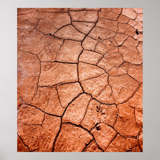 Dried land poster (Front)