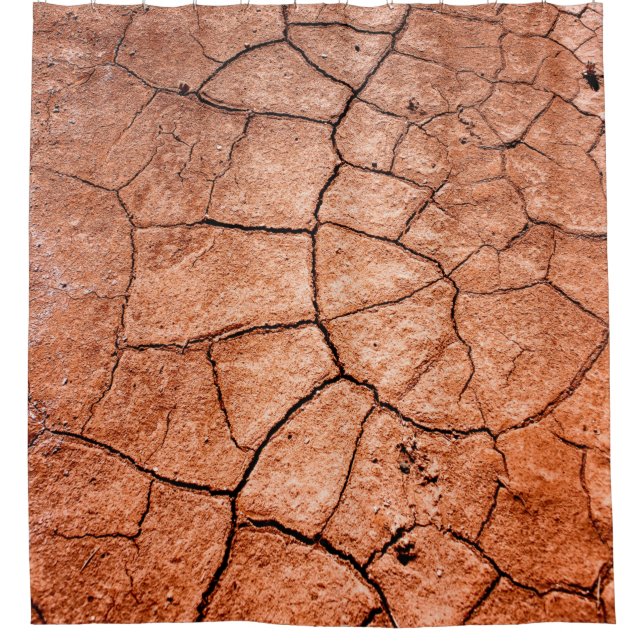 Dried land shower curtain (Front)