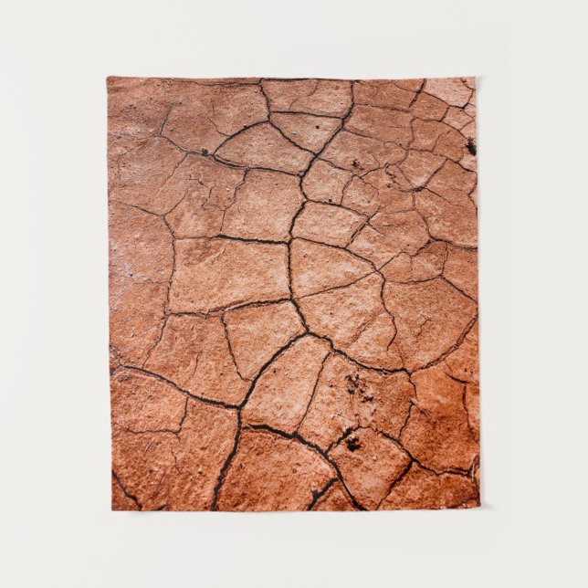 Dried land tapestry (Front)