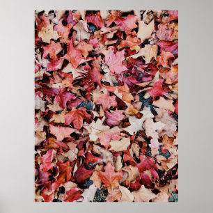 Dried leaves poster