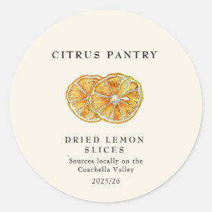 Dried Lemon slices Watercolor  Classic Round Sticker