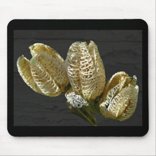 Dried Lily Seed Pods Mouse Mat