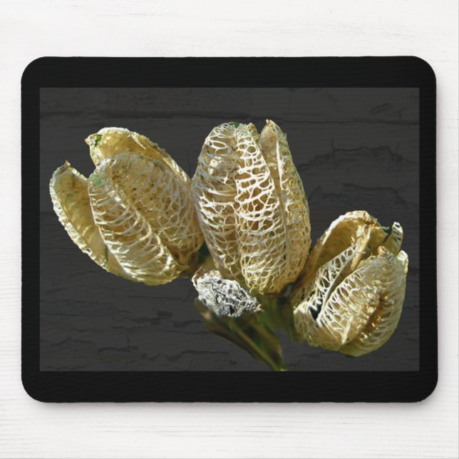 Dried Lily Seed Pods Mouse Mat (Front)
