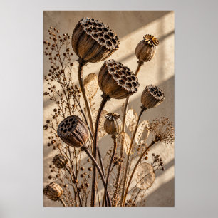 Dried Lotus Seed Pods in Golden Light Botanical Wa Poster