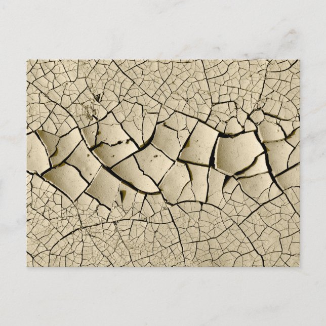 Dried Mud  Postcard (Front)