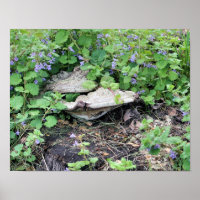 Dried Mushrooms And Flowers On Tree Stump