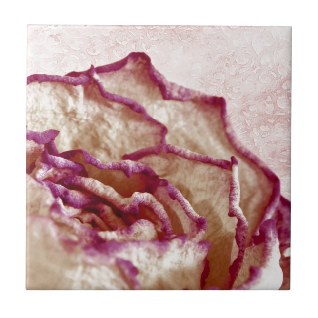 Dried Pink Rose Tile (Front)