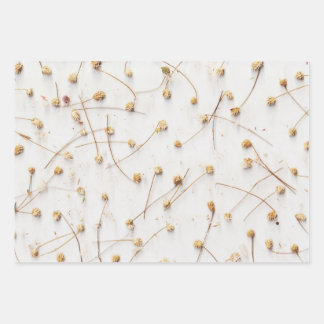 Dried plant patterns for weddings and gifts wrapping paper sheet