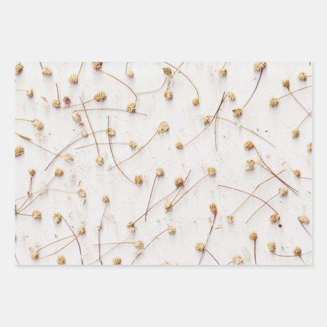 Dried plant patterns for weddings and gifts wrapping paper sheet (Front 3)