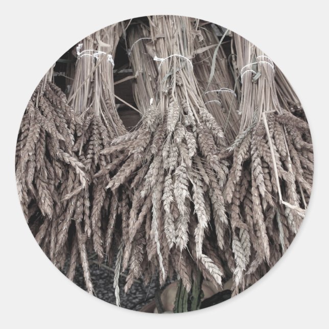 Dried Plants for Decorating Classic Round Sticker (Front)