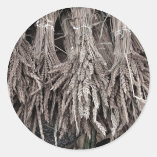 Dried Plants for Decorating Classic Round Sticker