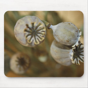 Dried Poppy Heads Mouse Pad