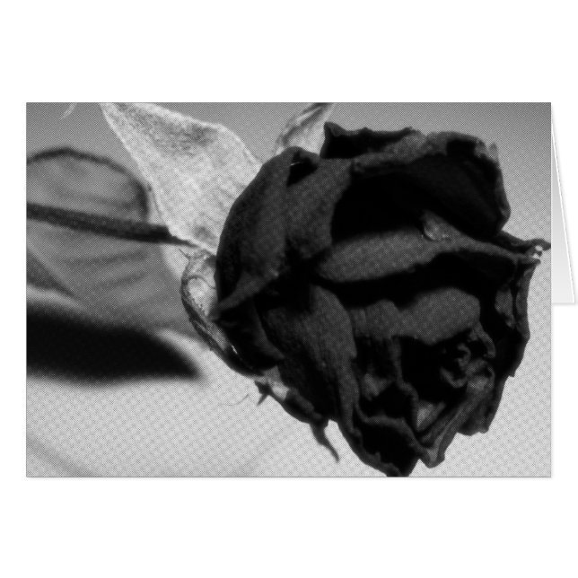 Dried Rose Photograph - Black & White (Front Horizontal)