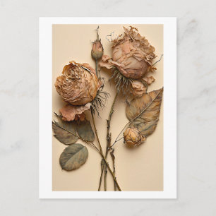 Dried Roses Floral Postcard Print
