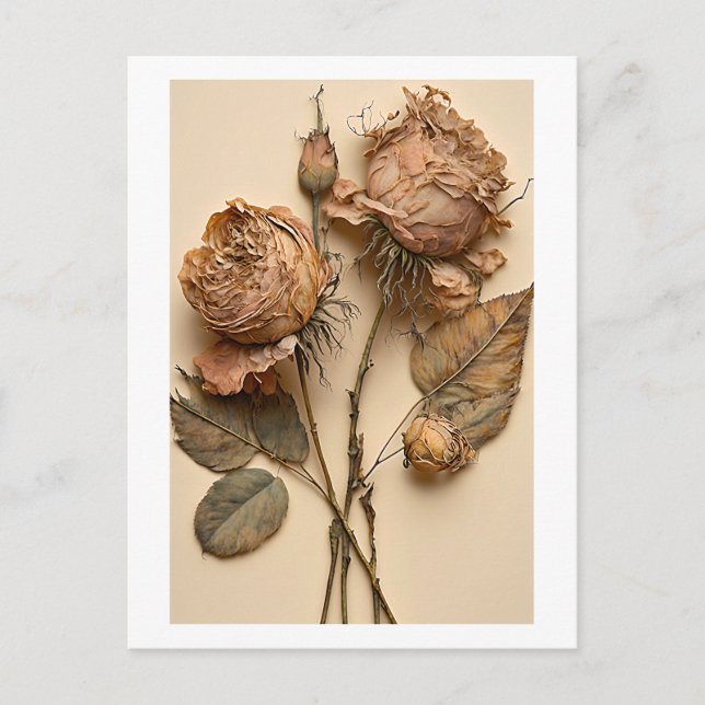 Dried Roses Floral Postcard Print (Front)