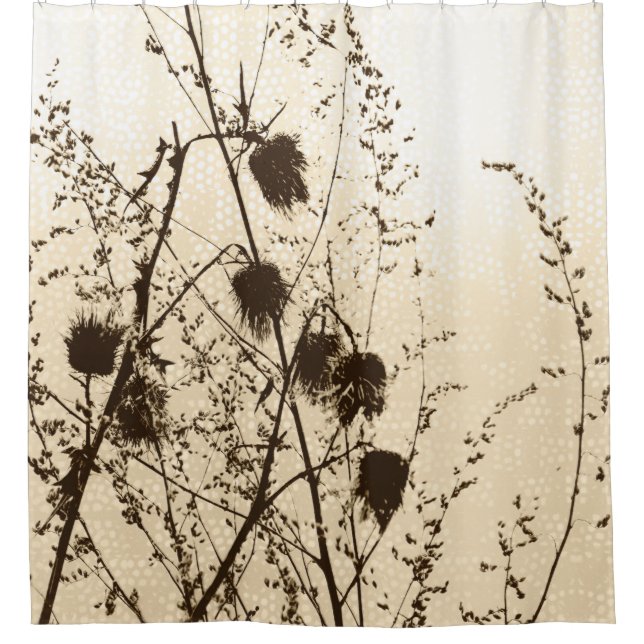 Dried Scottish Thistles Light Golden Yellow Brown Shower Curtain (Front)