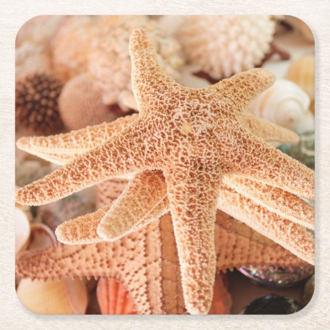 Dried sea stars sold as souvenirs 2 square paper coaster (Front)