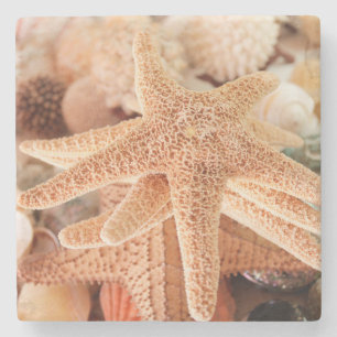 Dried sea stars sold as souvenirs 2 stone coaster