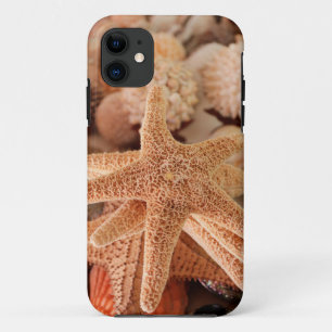 Dried sea stars sold as souvenirs iPhone 11 case
