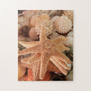 Dried sea stars sold as souvenirs jigsaw puzzle