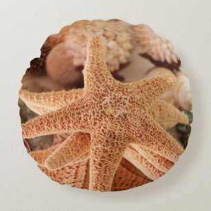 Dried sea stars sold as souvenirs round cushion