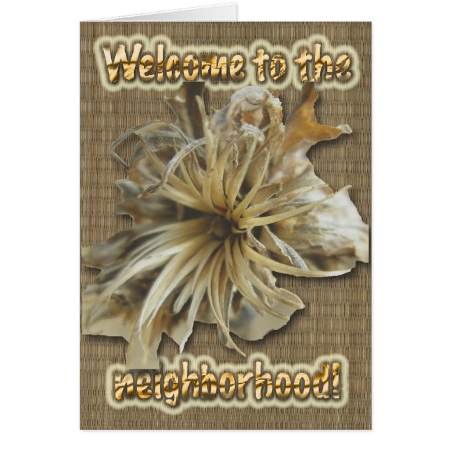 Dried Starburst Welcome to the neighbourhood Card (Front)