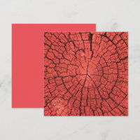 Dried Tree Log Cutaway Pinkish Red Wood Photo