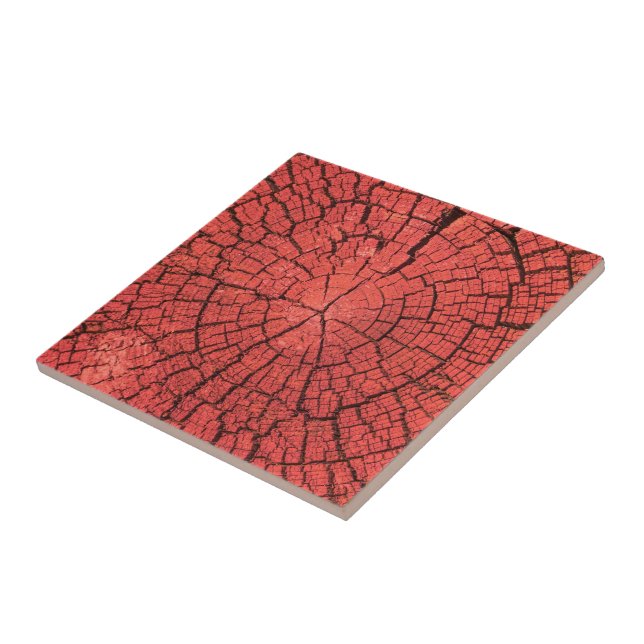 Dried Tree Log Cutaway Pinkish Red Wood Photo Tile (Side)
