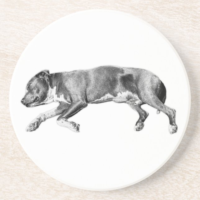 Drift into Calm – Detailed Dog Slumber Coaster (Front)