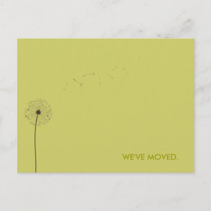 drift:  moving announcement postcard