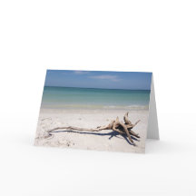 Drift Wood on Beach Frameable Mother's Day card