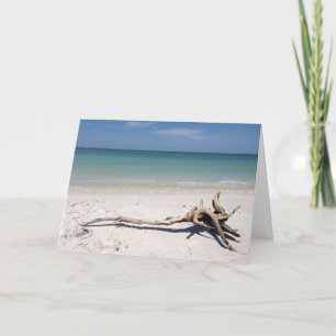 Drift Wood on Beach Frameable Mother's Day card