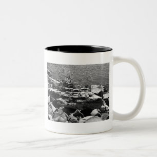 Drift wood Two-Tone coffee mug