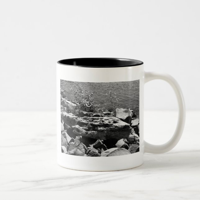 Drift wood Two-Tone coffee mug (Right)