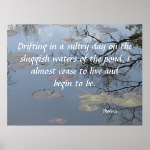 Drifting on the Pond Poster