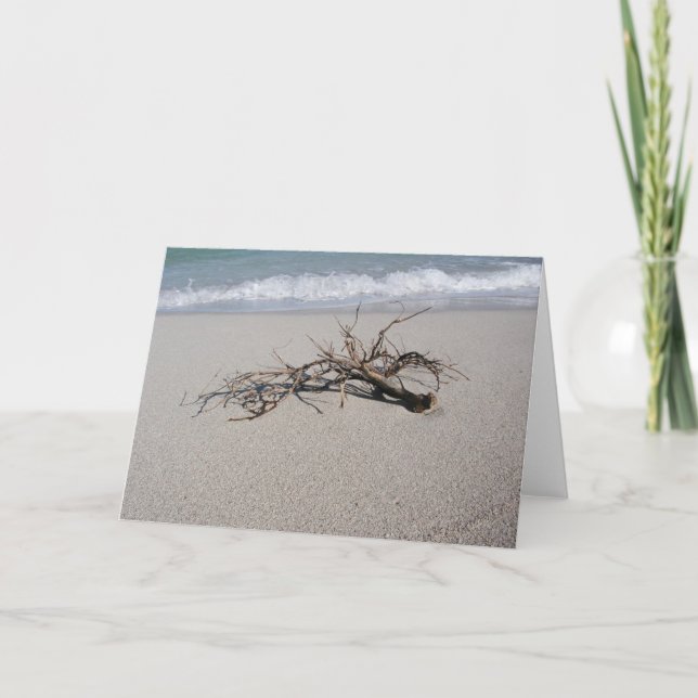 driftwood1 card (Front)