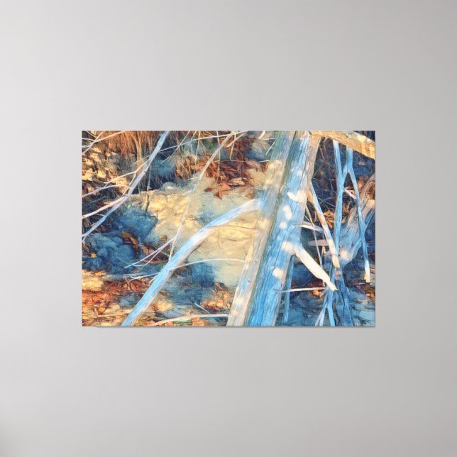 Driftwood After the Storm Canvas Print (Front)