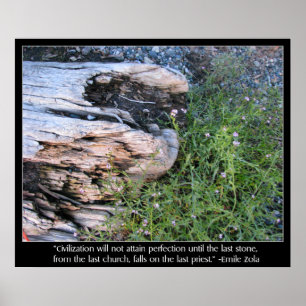 Driftwood and Zola Quote Poster