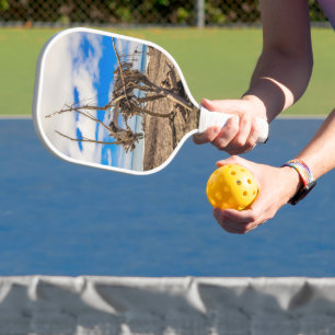 Driftwood artwork on Hokitika Beach, New Zealand Pickleball Paddle